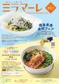ミラマーレ 最新号